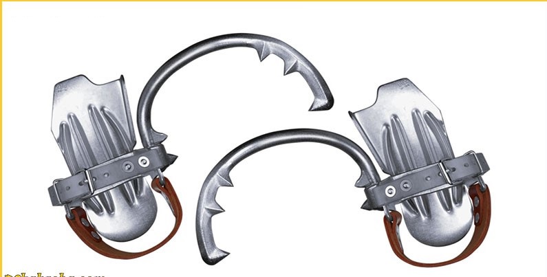 رکاب سیمبانی